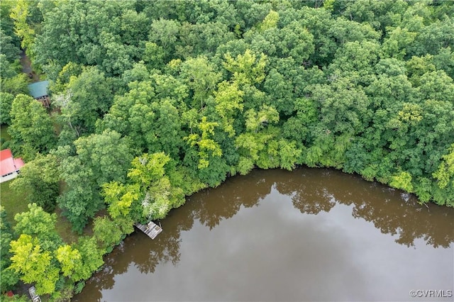 198 Trices Lake Rd, Columbia, VA 23038 - bird's eye view of a large body of water