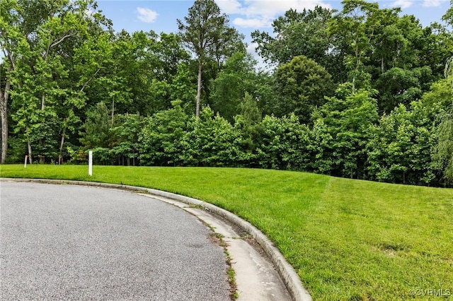 1506 White Mountain Dr, Chester, VA 23836 - photo 6