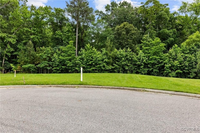 1506 White Mountain Dr, Chester, VA 23836 - photo 7