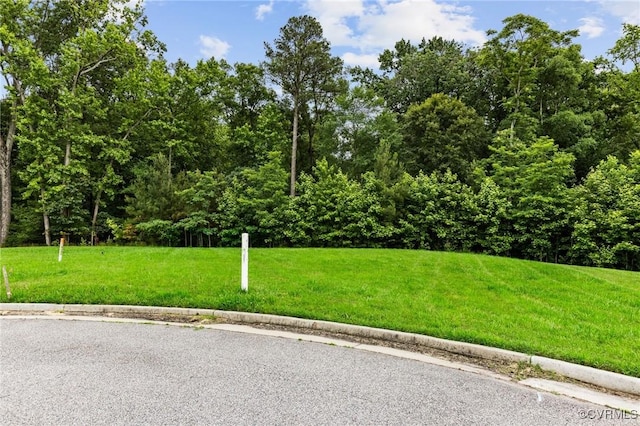1506 White Mountain Dr, Chester, VA 23836 - photo 8