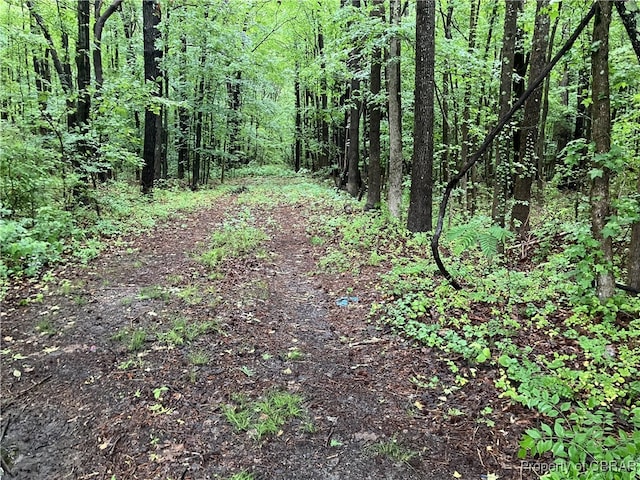 19.42AC Main St, Mathews, VA 23109