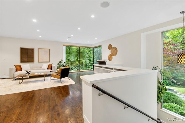 322 Charmian Rd, Richmond, VA 23226 - living area with plenty of natural light, recessed lighting, and dark wood-type flooring