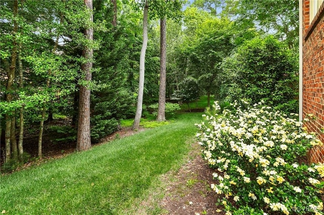 561 Hill Grove Rd, Manakin Sabot, VA 23103 - view of grassy yard