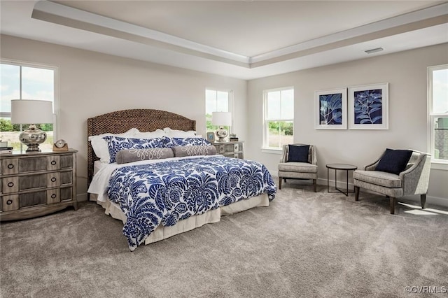 6 Abercrombie Dr, Chesterfield, VA 23838 - carpeted bedroom with multiple windows, a raised ceiling, and baseboards