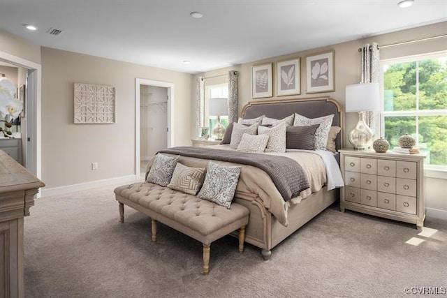 7 Abercrombie Dr, Chesterfield, VA 23838 - bedroom featuring light carpet, multiple windows, a spacious closet, recessed lighting, and baseboards