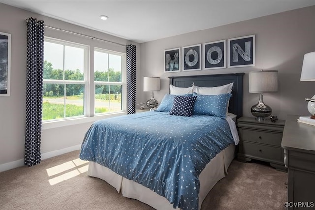 7 Abercrombie Dr, Chesterfield, VA 23838 - bedroom featuring carpet flooring and baseboards