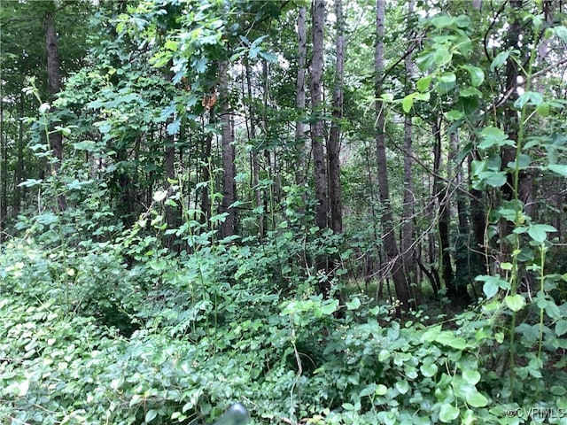 TBD County Line Rd, Disputanta, VA 23842