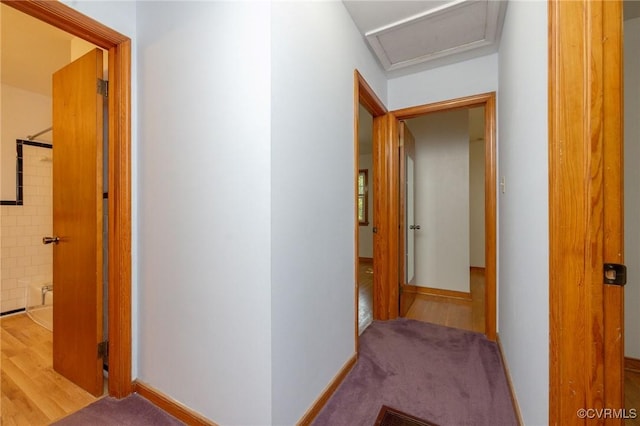 6495 Robin Way, Mechanicsville, VA 23111 - corridor featuring attic access