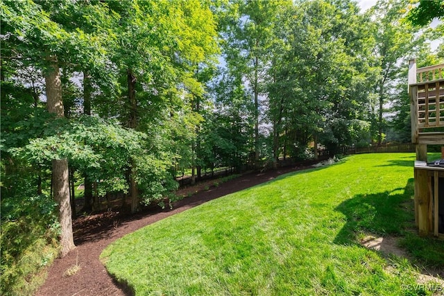4029 Huntsteed Way, Henrico, VA 23233 - view of yard