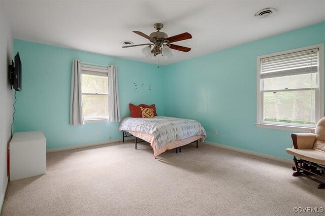 2311 Moseley Rd, Moseley, VA 23120 - photo 37