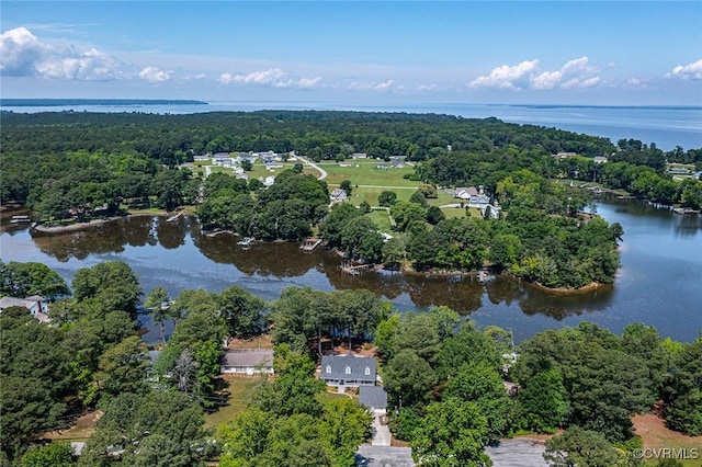 431 Ships Row, Montross, VA 22520 - bird's eye view of a large body of water and a heavily wooded area