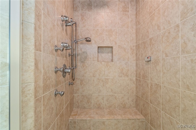 2220 French Hill Ter, Powhatan, VA 23139 - full bathroom with tiled shower