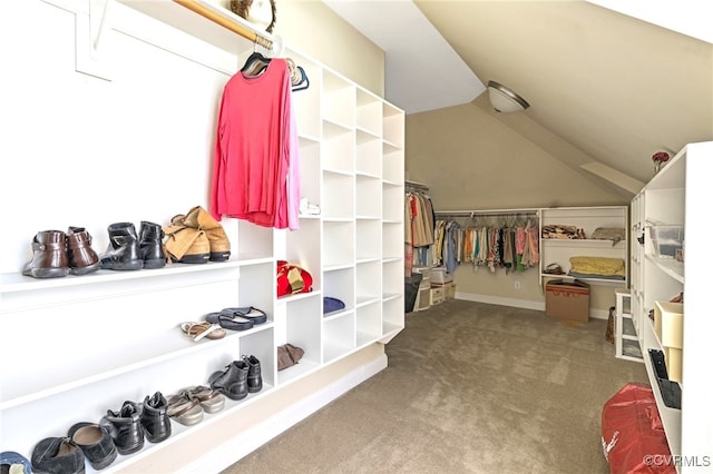 2220 French Hill Ter, Powhatan, VA 23139 - walk in closet featuring carpet flooring and vaulted ceiling