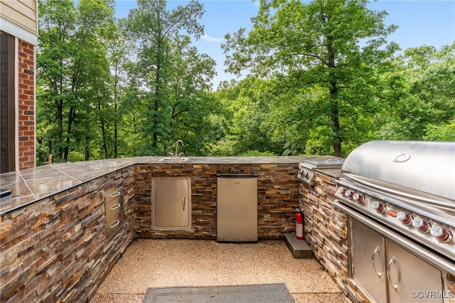 2220 French Hill Ter, Powhatan, VA 23139 - view of patio / terrace with a sink