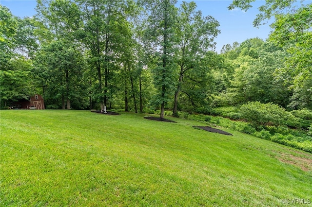 2220 French Hill Ter, Powhatan, VA 23139 - view of grassy yard featuring a view of trees