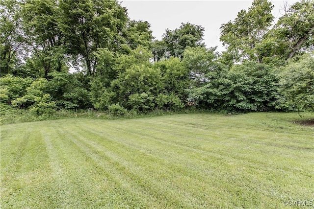 321 Porterville St, Petersburg, VA 23803 - view of grassy yard