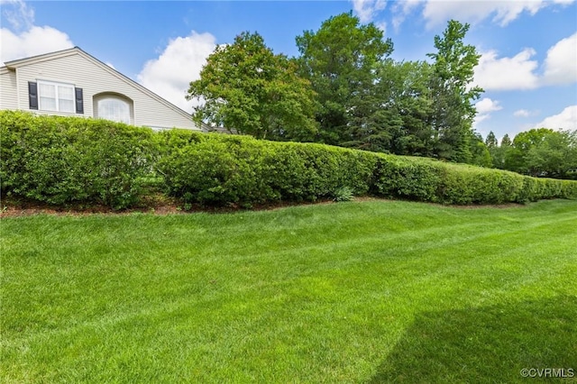 10232 Locklies Dr, Glen Allen, VA 23060 - photo 29