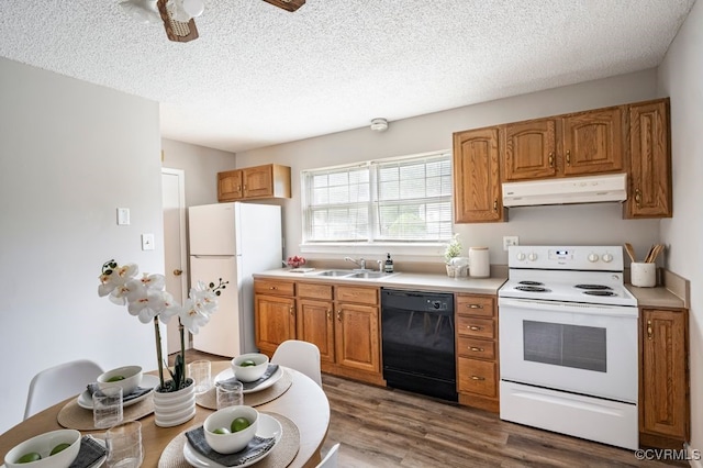 9548 Bent Wood Ln, North Chesterfield, VA 23237 - kitchen featuring white appliances, under cabinet range hood, light countertops, wood finished floors, and a textured ceiling