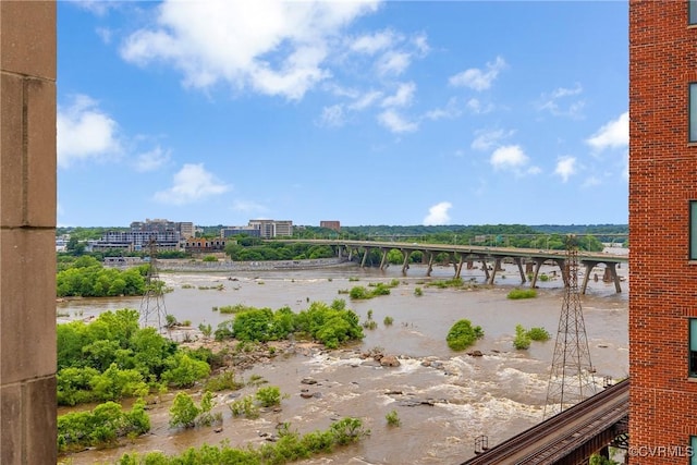 1101 Haxall Pt Unit U1001, Richmond, VA 23219 - water view with a notable bridge