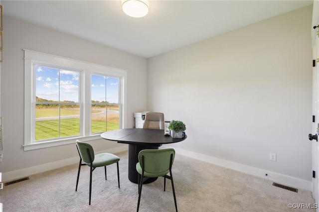 9463 Angels Share Dr, New Kent, VA 23124 - office area with baseboards, carpet, and plenty of natural light