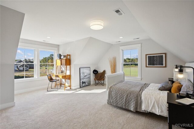 9463 Angels Share Dr, New Kent, VA 23124 - carpeted bedroom with multiple windows, lofted ceiling, and baseboards
