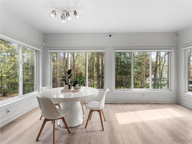 11507 Barrington Bridge Ter, Henrico, VA 23233 - sunroom featuring healthy amount of natural light and wood finished floors