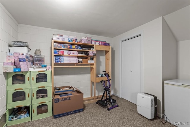725 Transco Rd, Scottsville, VA 24590 - view of storage room