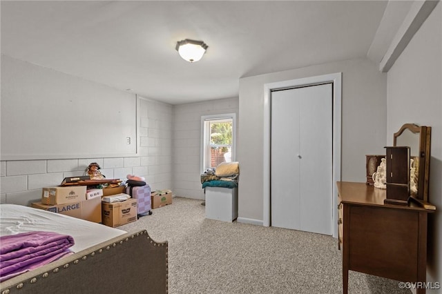 725 Transco Rd, Scottsville, VA 24590 - carpeted bedroom featuring a closet
