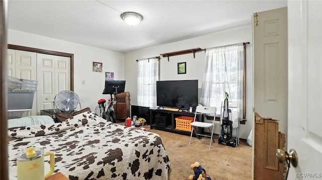 3913 Terjo Ln, Chester, VA 23831 - carpeted bedroom with a closet