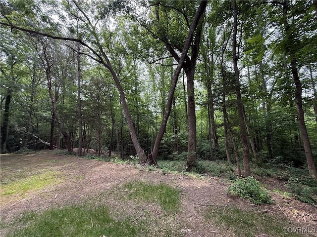 TBD Island Point Rd, Heathsville, VA 22579
