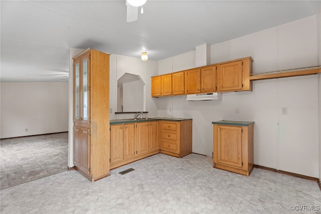 1426 Rolling Acres Rd, Emporia, VA 23847 - kitchen with a sink, under cabinet range hood, and a ceiling fan