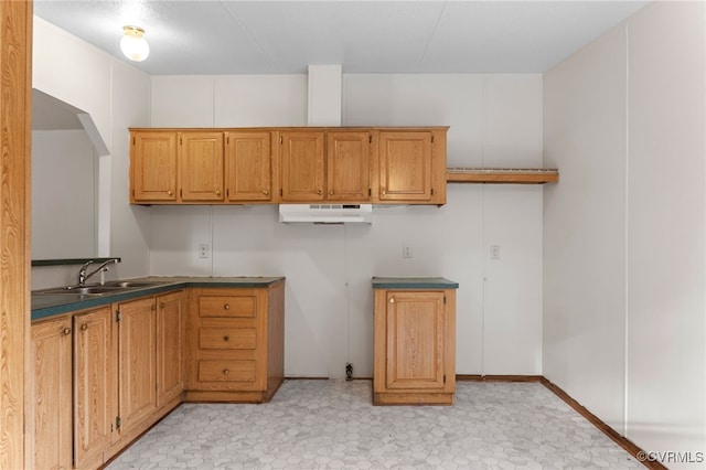 1426 Rolling Acres Rd, Emporia, VA 23847 - kitchen featuring under cabinet range hood, a sink, and dark countertops