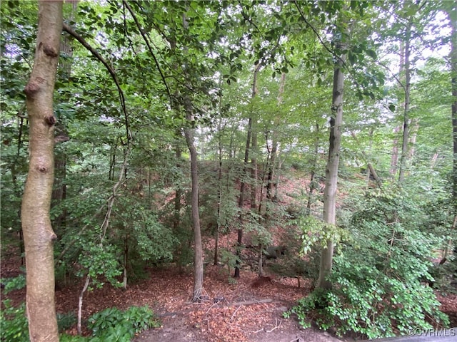 1849 Duke Of Gloucester St, Colonial Heights, VA 23834 - view of woods