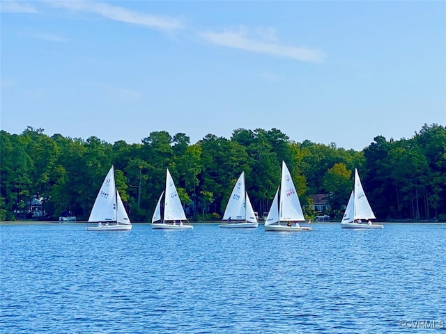 14000 Shady Pointe Ct, Midlothian, VA 23112 - water view featuring a forest