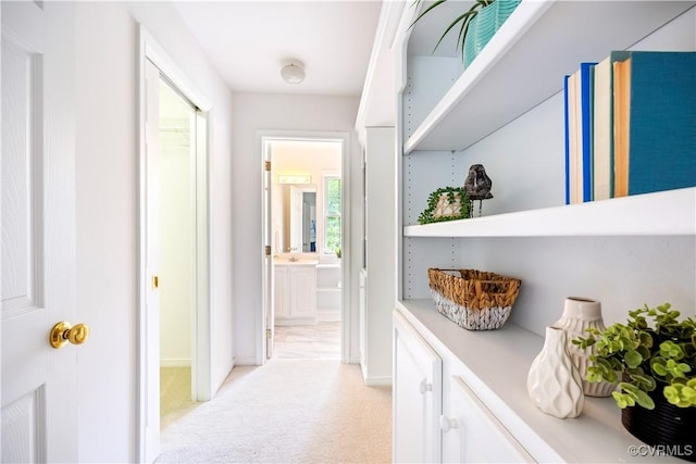 14000 Shady Pointe Ct, Midlothian, VA 23112 - hallway featuring light colored carpet and baseboards