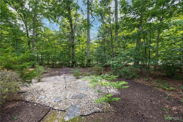 14000 Shady Pointe Ct, Midlothian, VA 23112 - view of local wilderness