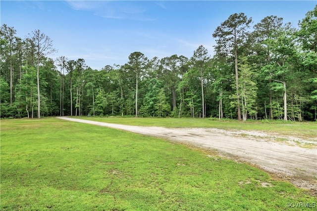 9300 Adkins Rd, Charles City, VA 23030 - view of street featuring a wooded view