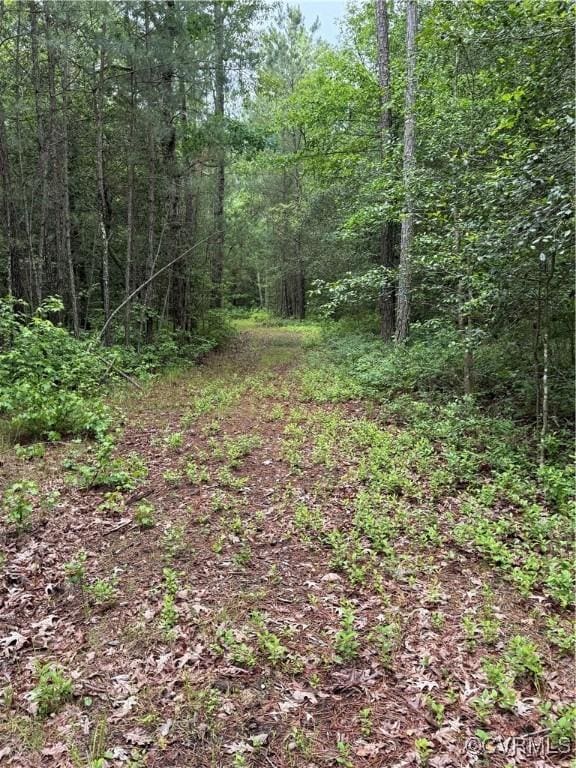 9300 Adkins Rd, Charles City, VA 23030 - view of wooded area