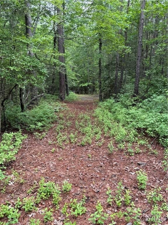 9300 Adkins Rd, Charles City, VA 23030 - view of wooded area