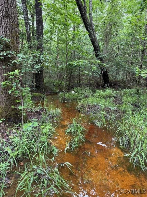 9300 Adkins Rd, Charles City, VA 23030 - view of tree filled area