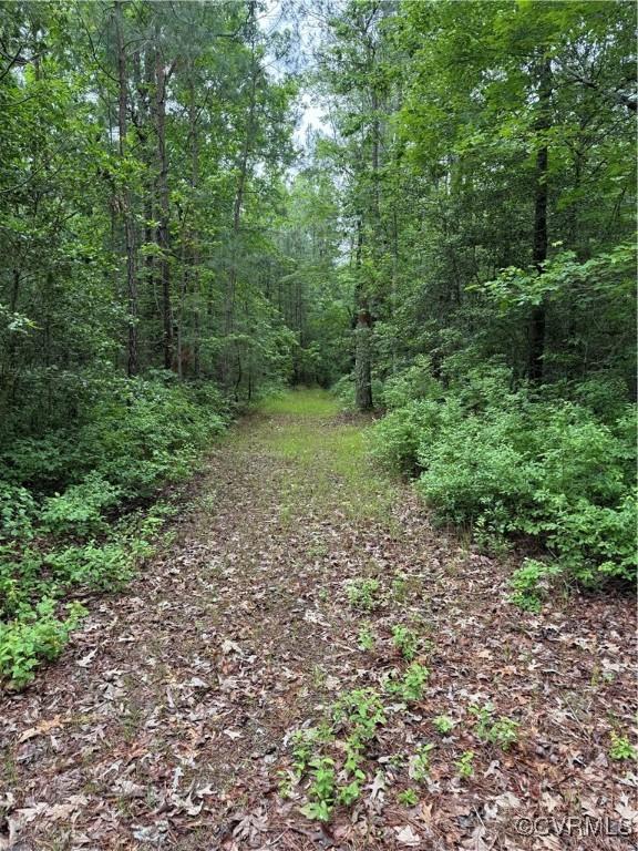 9300 Adkins Rd, Charles City, VA 23030 - view of woods