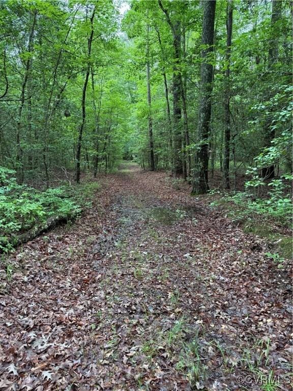 9300 Adkins Rd, Charles City, VA 23030 - view of wooded area