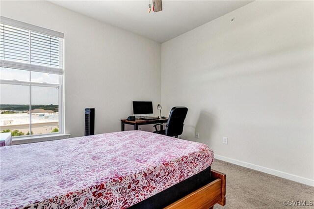 14443 Hancock Towns Dr, Chesterfield, VA 23832 - photo 36
