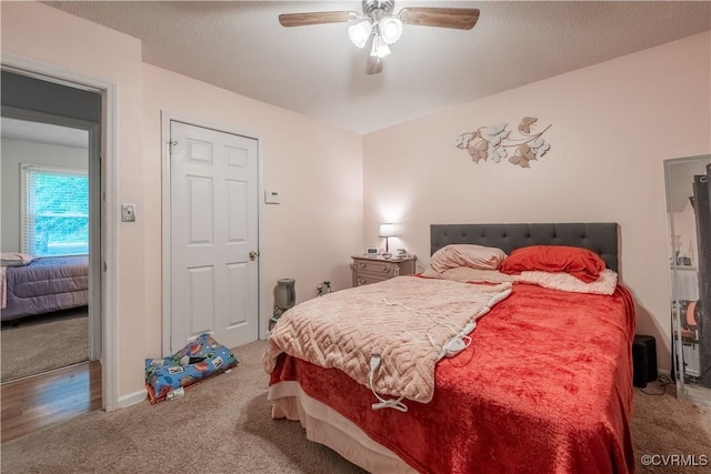 18517 Depot Rd, Mc Kenney, VA 23872 - bedroom featuring carpet flooring and a ceiling fan