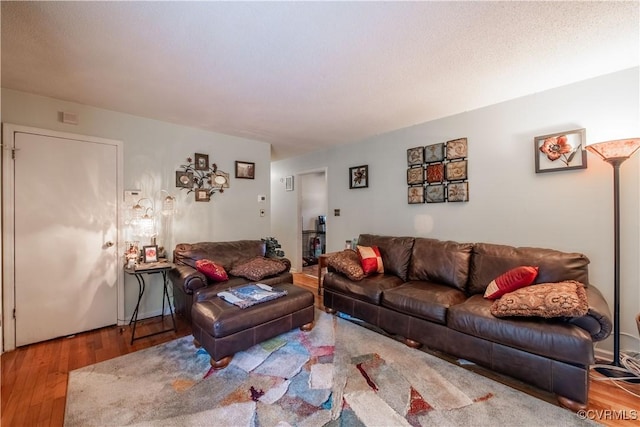 18517 Depot Rd, Mc Kenney, VA 23872 - living room featuring wood finished floors