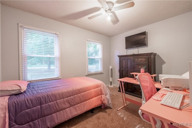 18517 Depot Rd, Mc Kenney, VA 23872 - bedroom with carpet and ceiling fan