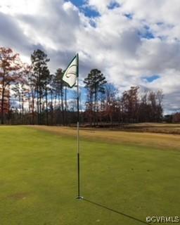 7128 Iron Gall Ln, Ruther Glen, VA 22546 - view of surrounding community