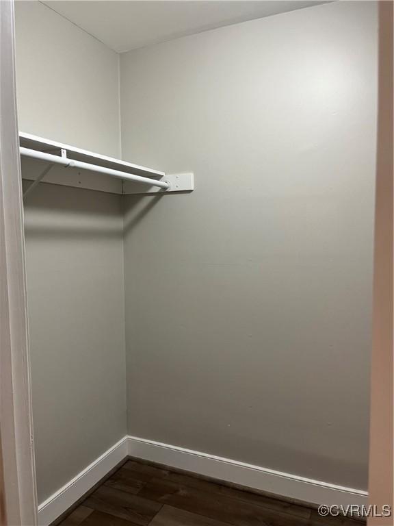 1184 Jamestown Rd Unit 19, Williamsburg, VA 23185 - walk in closet with dark wood-style floors