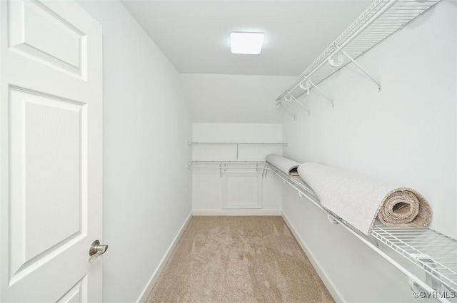 1037 Berryhill Rd, Henrico, VA 23231 - walk in closet with light carpet