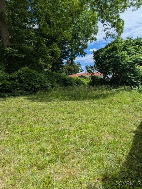 1224 Mckenzie St, Petersburg, VA 23803 - view of yard